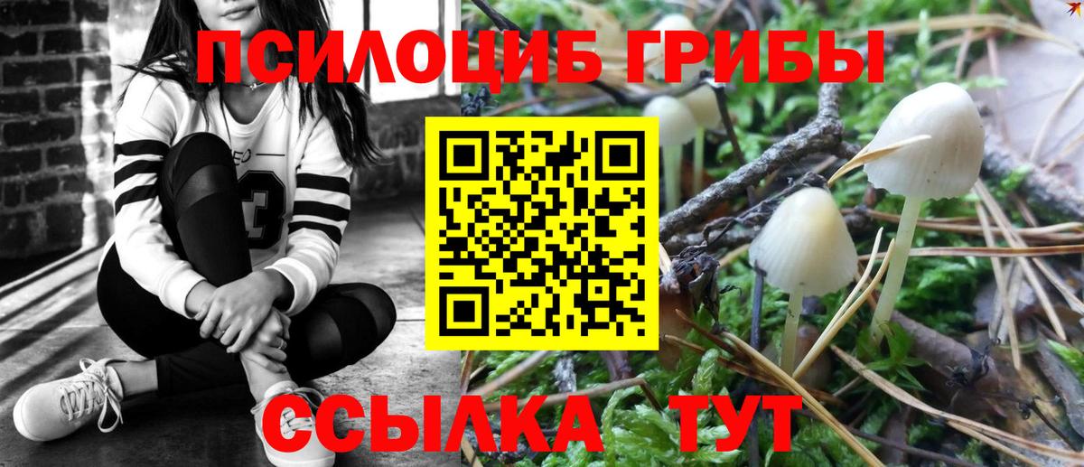 Псилоцибиновые грибы MAGIC MUSHROOMS Камень-на-Оби
